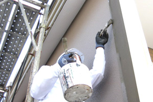 �o���L�x�ȏn���̐E�l